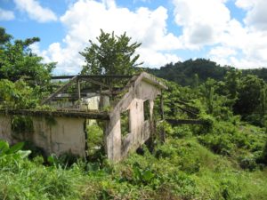 suite à un séisme en Martinique, Glissement au Morne Macroix - (2008 - BRGM)
